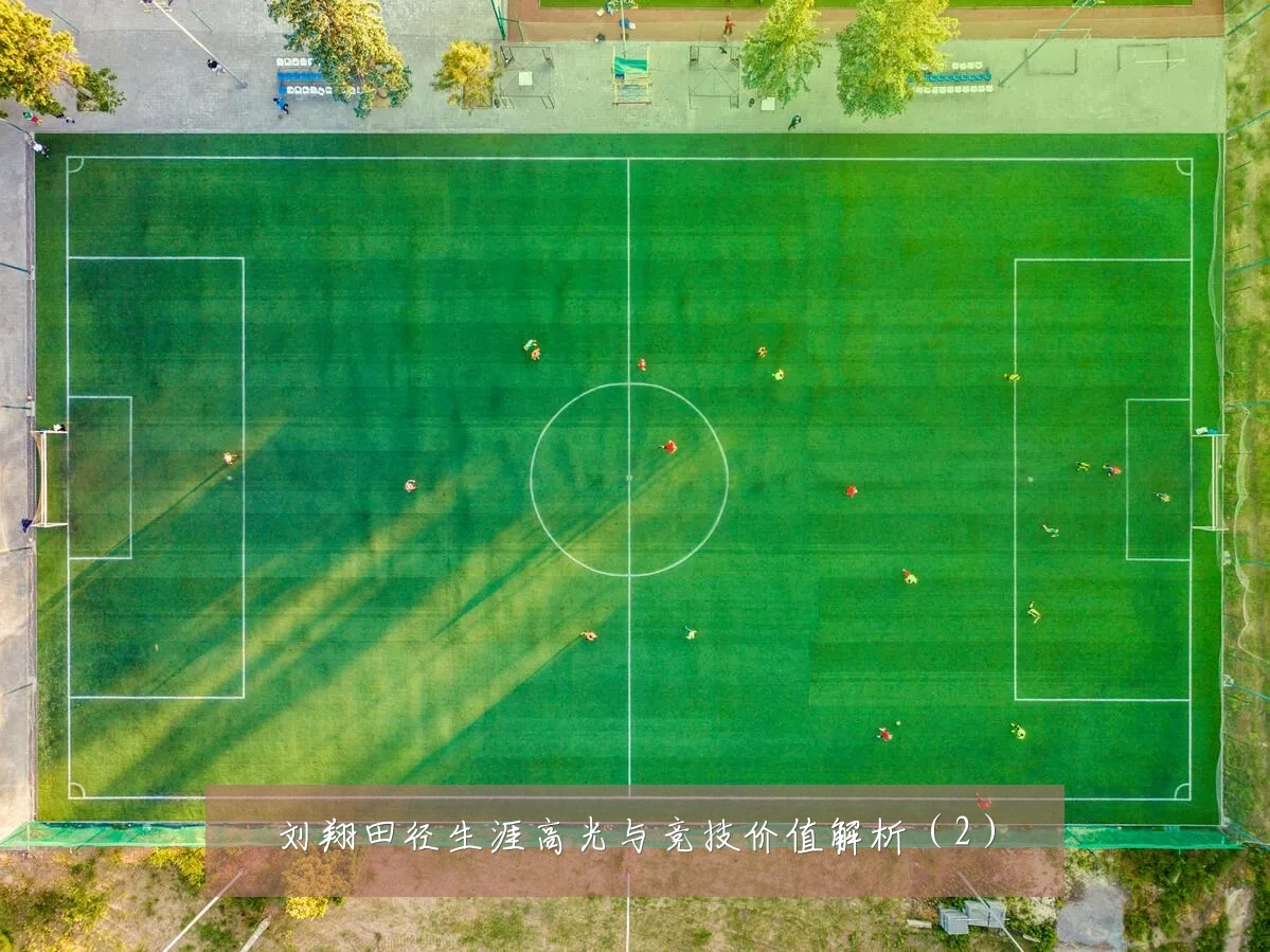 刘翔田径生涯高光与竞技价值解析（2）