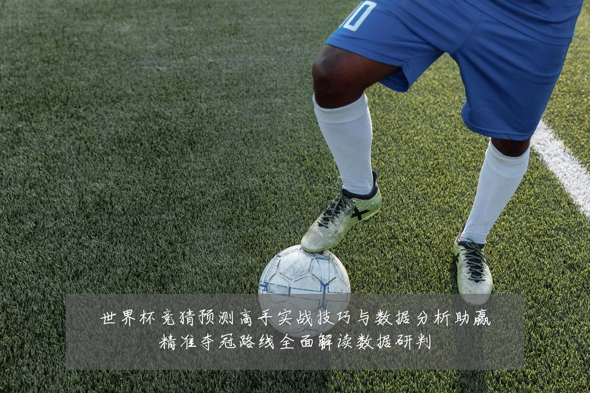 世界杯竞猜预测高手实战技巧与数据分析助赢精准夺冠路线全面解读数据研判